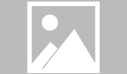 俞晓冬,探索创新与变革的领军人物